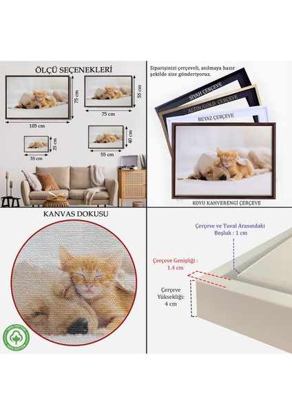 Çerçeveli Golden Köpek Ile Uyuyan Yavru Kedi Dekoratif Kanvas TABLO-1176 modelleri