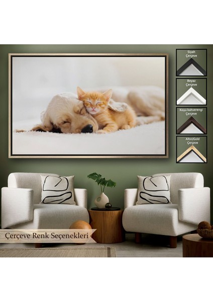 Çerçeveli Golden Köpek Ile Uyuyan Yavru Kedi Dekoratif Kanvas TABLO-1176 fırsatları