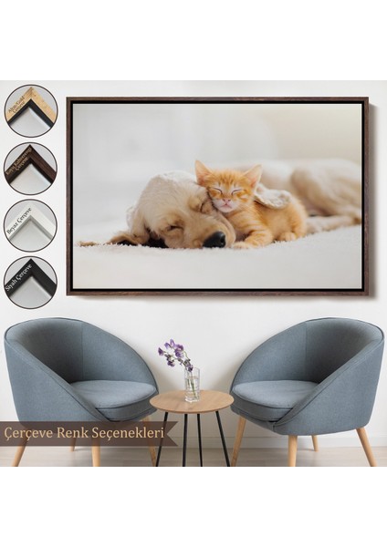 Çerçeveli Golden Köpek Ile Uyuyan Yavru Kedi Dekoratif Kanvas TABLO-1176 indirimleri