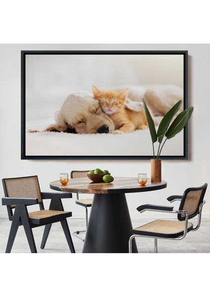 Çerçeveli Golden Köpek Ile Uyuyan Yavru Kedi Dekoratif Kanvas TABLO-1176