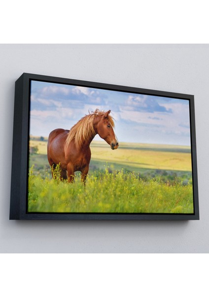 Çerçeveli At ve Manzaralı Dekoratif Kanvas TABLO-1131