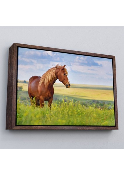Çerçeveli At ve Manzaralı Dekoratif Kanvas TABLO-1131 fiyatları
