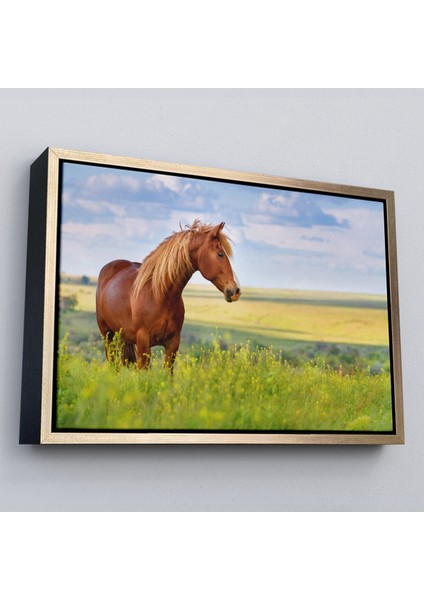 Çerçeveli At ve Manzaralı Dekoratif Kanvas TABLO-1131 modelleri