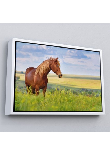 Çerçeveli At ve Manzaralı Dekoratif Kanvas TABLO-1131 fırsatları