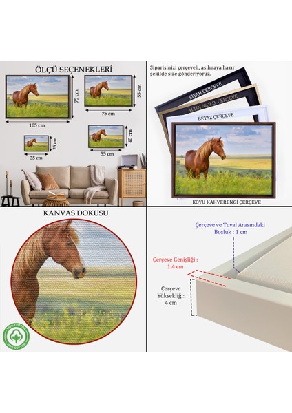 Çerçeveli At ve Manzaralı Dekoratif Kanvas TABLO-1131 indirimleri