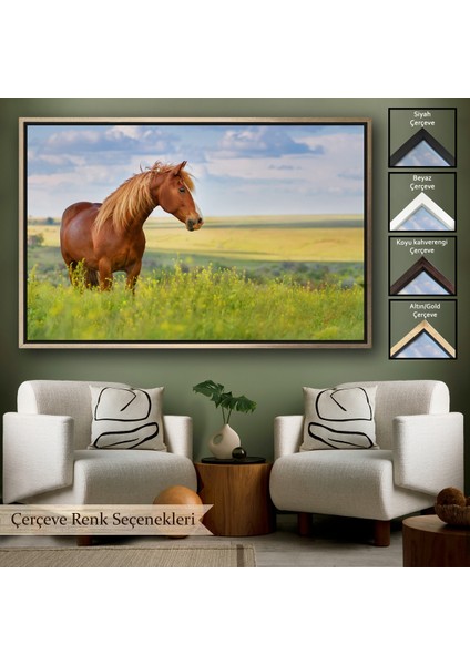 Çerçeveli At ve Manzaralı Dekoratif Kanvas TABLO-1131