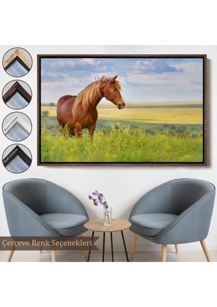 Çerçeveli At ve Manzaralı Dekoratif Kanvas TABLO-1131