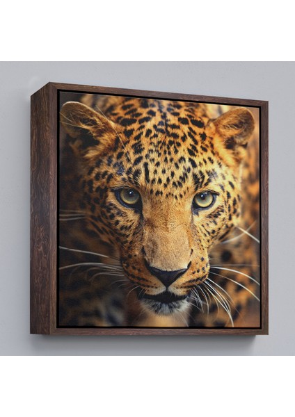 Çerçeveli Leopar Dekoratif Kanvas TABLO-5811
