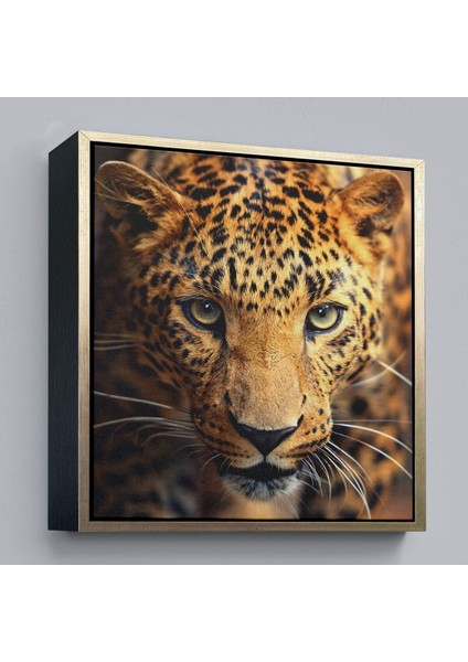 Çerçeveli Leopar Dekoratif Kanvas TABLO-5811 fiyatları