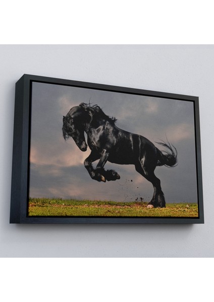 Çerçeveli Şaha Kalkmış Siyah At TABLOSU-6620