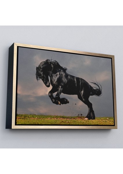 Çerçeveli Şaha Kalkmış Siyah At TABLOSU-6620 modelleri