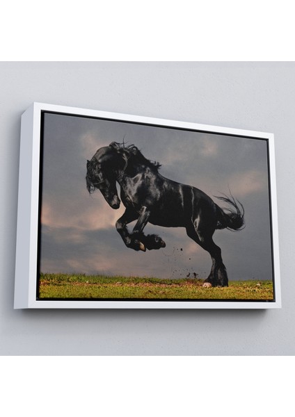 Çerçeveli Şaha Kalkmış Siyah At TABLOSU-6620 fırsatları
