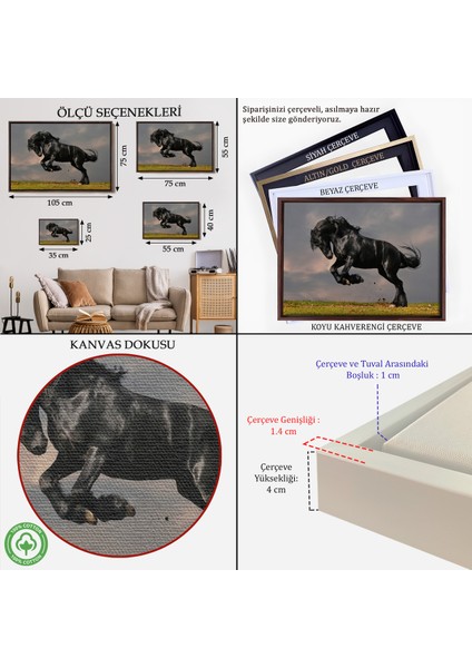 Çerçeveli Şaha Kalkmış Siyah At TABLOSU-6620 indirimleri