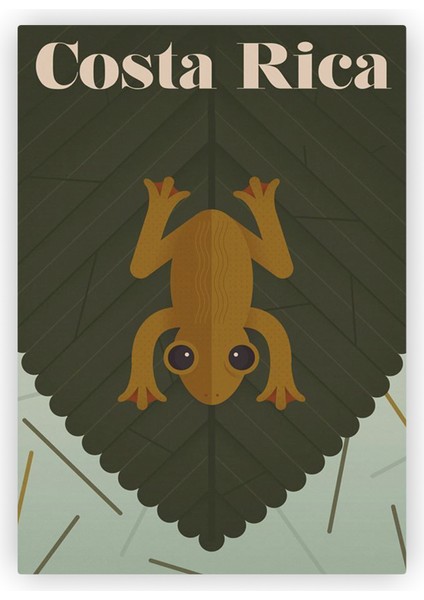 Costa Rica Ahşap Poster 20x29 cm