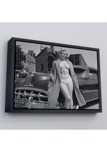 Çerçeveli TABLOSU-6523