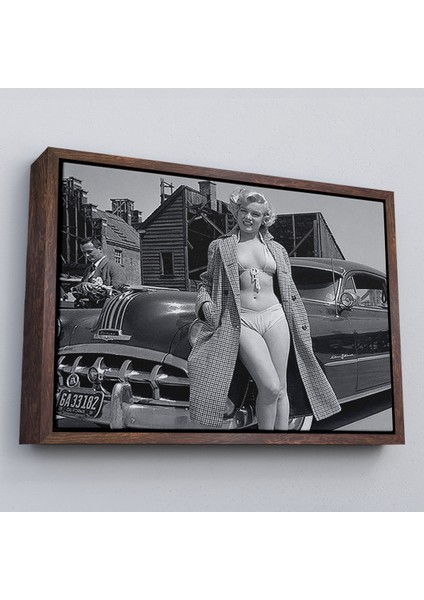 Çerçeveli TABLOSU-6523 fiyatları