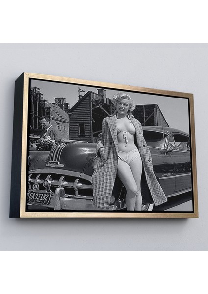 Çerçeveli TABLOSU-6523 modelleri