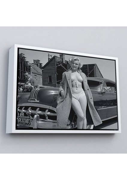 Çerçeveli TABLOSU-6523 fırsatları