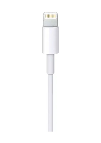 ZR649 Lightning 15 Cable 2 M