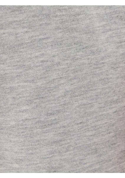 Regular Fit Erkek Şort