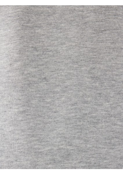 Regular Fit Erkek Sweatshirt