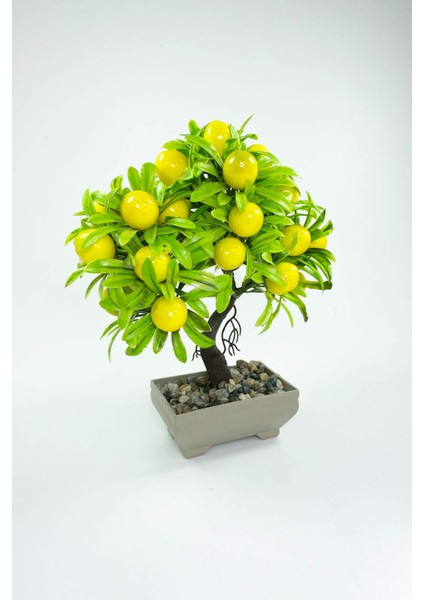 Dekor Ağaç Limon Ağacı Saksılı Dekoratif Ağaç Biblo 24X13 cm fiyatları