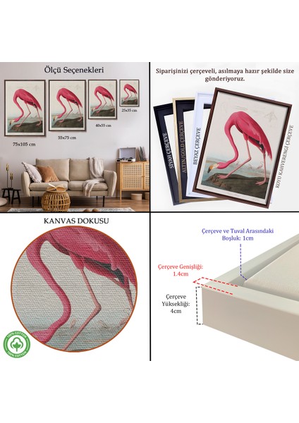 Çerçeveli John James Audubon - Amerikan Flamingo TABLOSU-7301 indirimleri