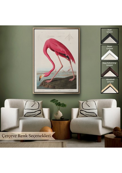 Çerçeveli John James Audubon - Amerikan Flamingo TABLOSU-7301