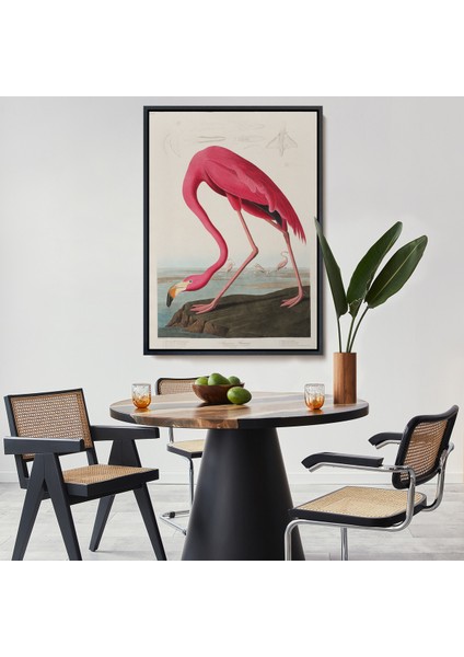Çerçeveli John James Audubon - Amerikan Flamingo TABLOSU-7301