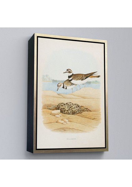 Çerçeveli Edwin L. Sheppard - Öldürücü Tablo - KILLDEER-7338 fiyatları