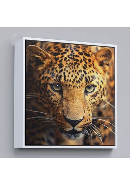 Çerçeveli Leopar Dekoratif Kanvas TABLO-5811 fırsatları