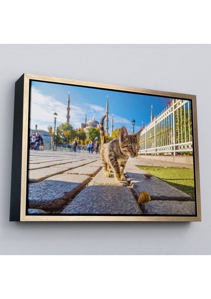 Çerçeveli Sultan Ahmet Camii Önündeki Yavru Kedi TABLOSU-6507 modelleri
