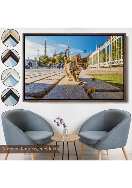 Çerçeveli Sultan Ahmet Camii Önündeki Yavru Kedi TABLOSU-6507