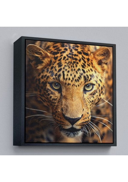 Çerçeveli Leopar Dekoratif Kanvas TABLO-5811 modelleri