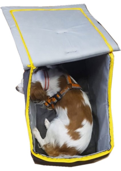 Füme Renkli Iç Mekan Köpek Kulübesi, Şık ve Konforlu Tasarım.