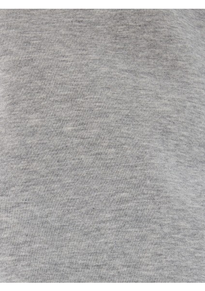 Regular Fit Erkek Sweatshirt