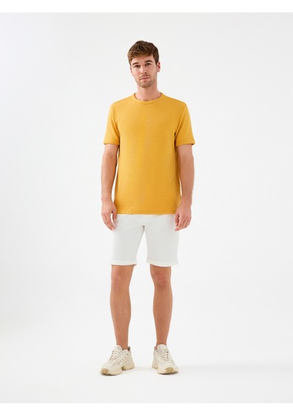 Regular Fit Erkek Şort