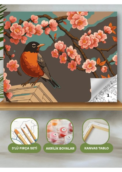 Sayılarla Boyama Seti 40X50 cm (Çıtalı) Fırça Boya Dahil Numaralı Tuval Kuş ve Bahar Çiçekleri