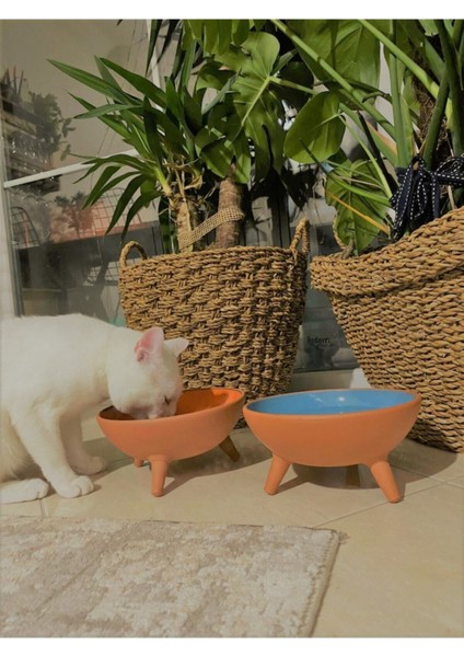 2'li Seramik Kedi ve Köpek Ayaklı Mama ve Su Kabı Mavi fiyatları