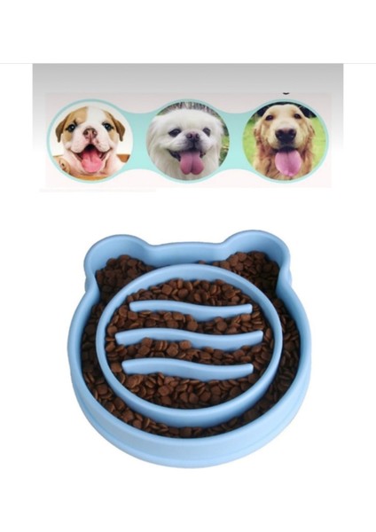 Kedi ve Köpek Için Yavaş Beslenme Kabı, Eğitici, Önleyici, Plastik, 1l