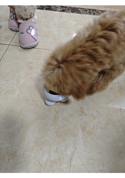 Çok Renkli Yaratıcı Evcil Hayvan Kase, 500 Ml, Köpek ve Kedi Için Şık Tasarım