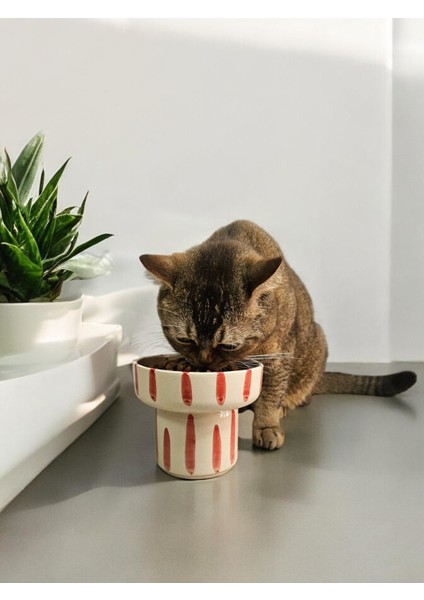 El Yapımı Seramik Kedi ve Köpek Mama Su Kabı Kırmızı fiyatları
