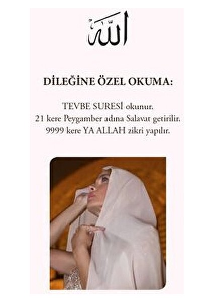 Niyet Ve Dilek Kartları - Tuğçe Işınsu 44 Sayfa Feniks Yayınevi 9786057055774 fiyatları