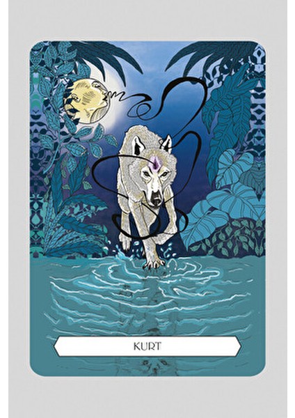 Şaman Kehanet Kartları - Francesca Matteoni 64 Sayfa Ciltsiz Hobi Kitabı fiyatları