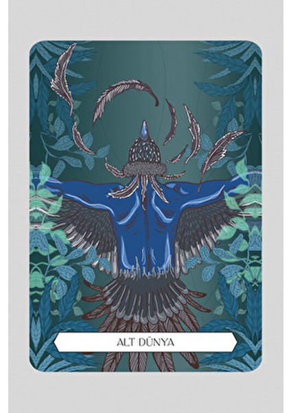 Şaman Kehanet Kartları - Francesca Matteoni 64 Sayfa Ciltsiz Hobi Kitabı fırsatları