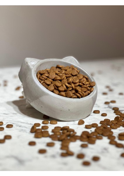 Seramik Gri Kedi ve Köpek Kuru Mama Kabı, Manuel Kullanım, 100 G fiyatları