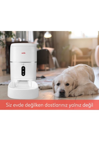 Sesli ve Wifi Destekli 6l Otomatik Evcil Hayvan Mama ve Su Kabı, Beyaz