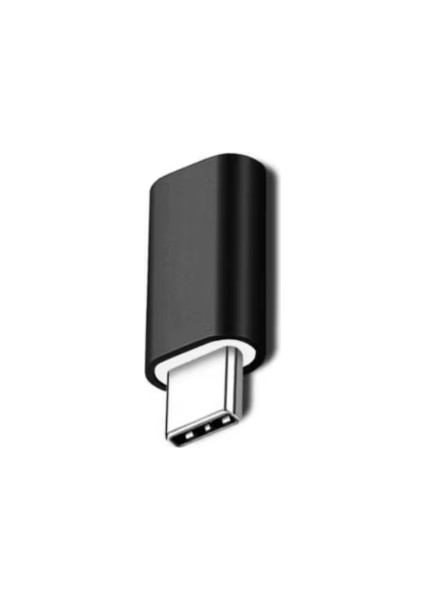 ZR350 FT-ADA23 Lightning To Type-C Çevirici Mini Adaptör