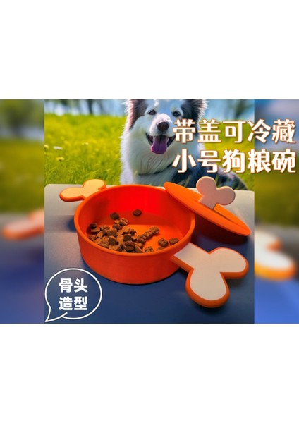Kapaklı, Renkli, Kemik Şekilli Köpek Maması Kabı, 500 Ml, Şık ve Kullanışlı