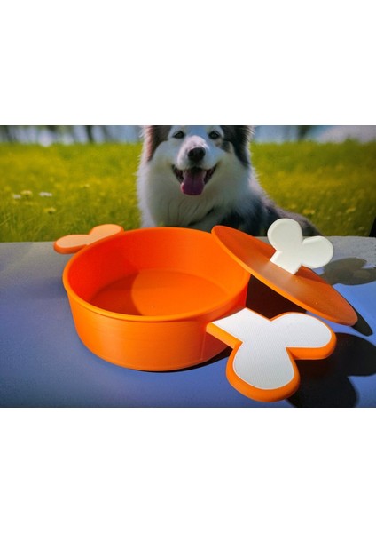 Kapaklı, Renkli, Kemik Şekilli Köpek Maması Kabı, 500 Ml, Şık ve Kullanışlı modelleri